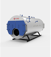 Oil Gas Boiler